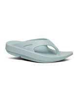 Ooriginal-Mist-OOFOS-Forget-me-nots Online Store