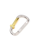 Column Carabiner-Aries-Forget-me-nots Online Store