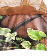 3Loop Cami Fmn Exclusive-kotohayokozawa-Forget-me-nots Online Store