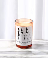 Concrete After Lightning-D.S.&DURGA-Forget-me-nots Online Store