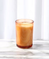 Holy Ficus-D.S.&DURGA-Forget-me-nots Online Store