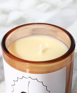 Holy Ficus-D.S.&DURGA-Forget-me-nots Online Store