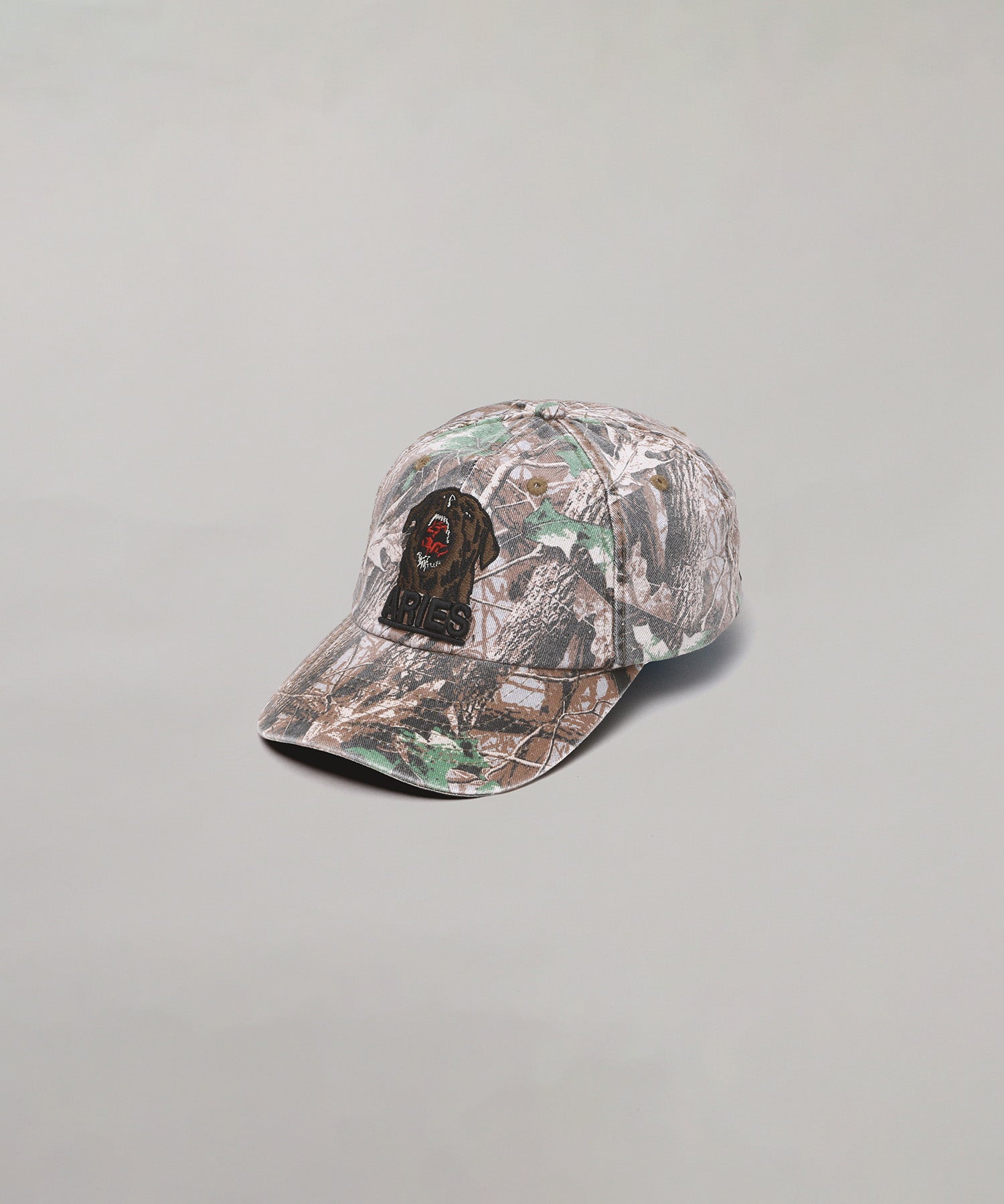 アリーズ(Aries)｜Rottweiler Camo Cap｜スニーカー・ファッションの