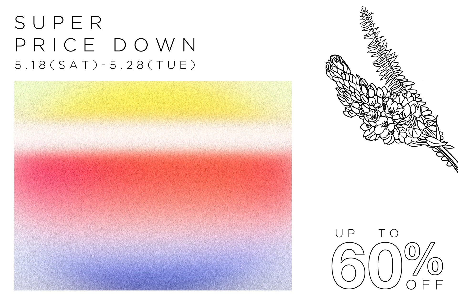 ✧SUPER PRICE DOWN✧