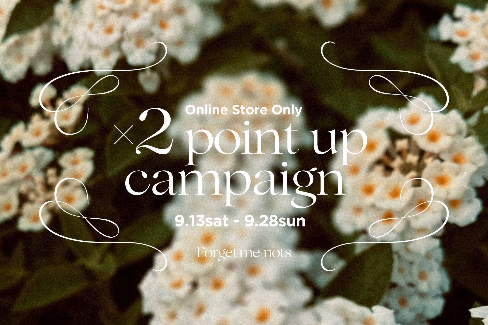 ×2 point up campaign