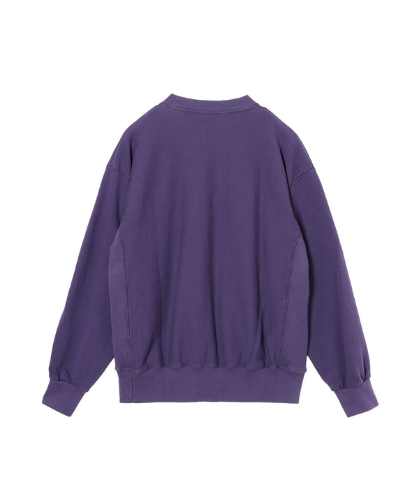 Premium Temple Sweatshirt