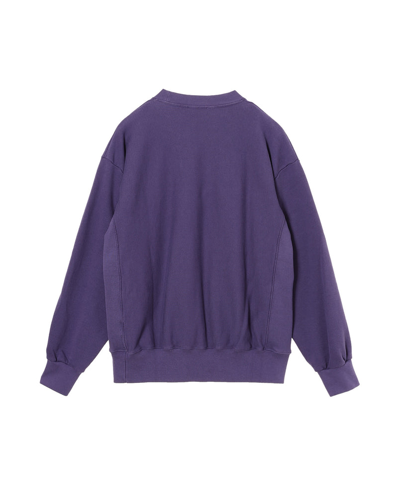 Premium Temple Sweatshirt