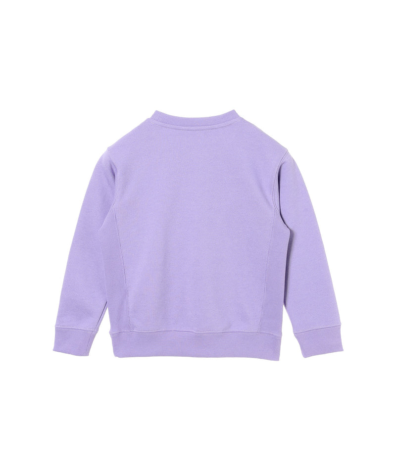 Kids Small Box Logo Crew-THE NORTH FACE-Forget-me-nots Online Store