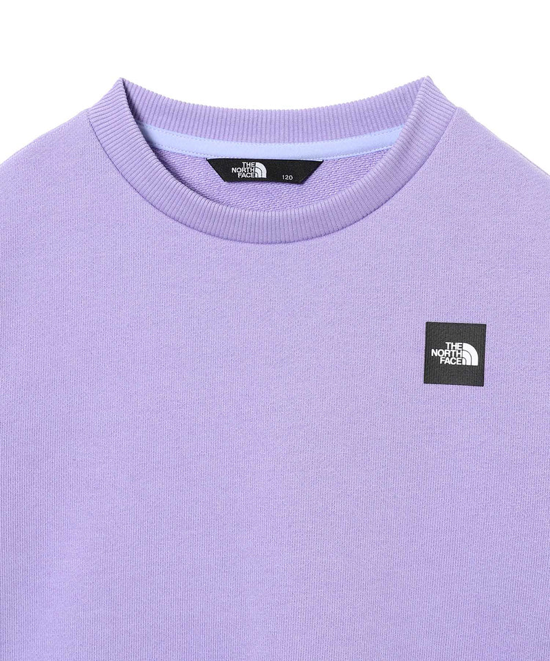 Kids Small Box Logo Crew-THE NORTH FACE-Forget-me-nots Online Store