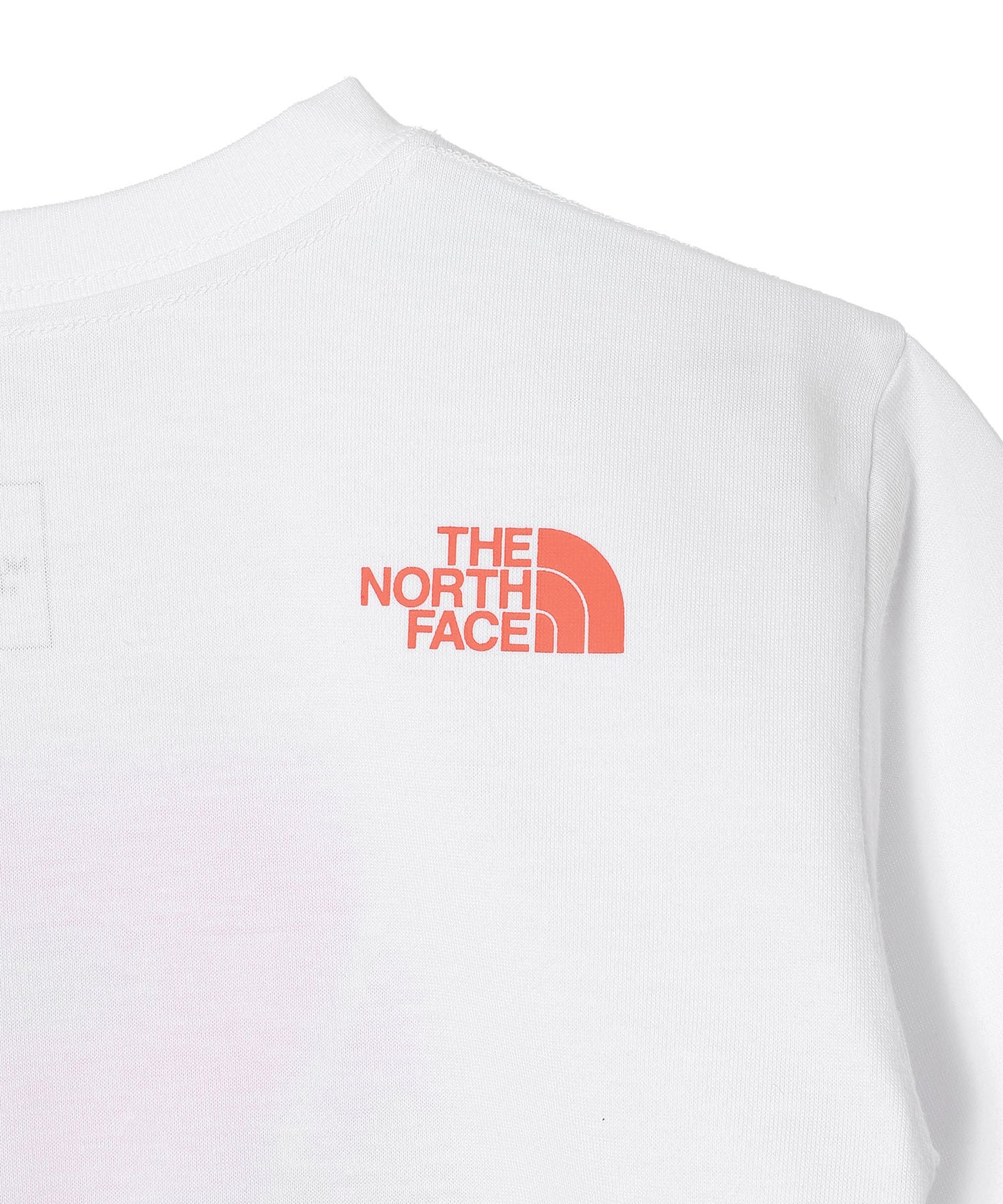 L/S Shiretoko Toko Tee ｜ザノースフェイス(THE NORTH FACE)｜Forget
