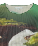 Food Graphic Tiny Top