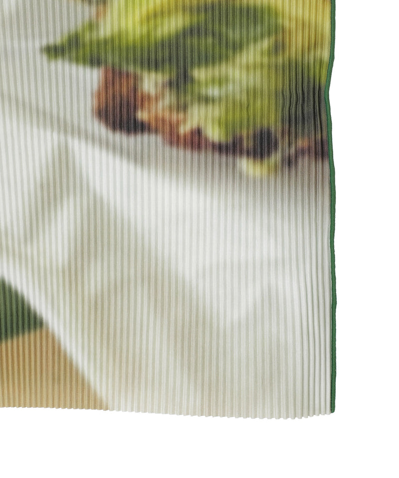 Food Graphic Tiny Top｜コトハヨコザワ(kotohayokozawa)｜Forget-me