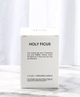 Holy Ficus-D.S.&DURGA-Forget-me-nots Online Store